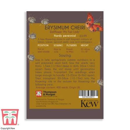 Thompson & Morgan Kew 'Erysimum' seeds