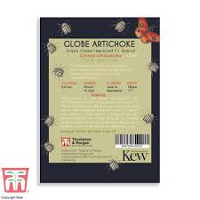 Thompson & Morgan Kew 'Globe Artichoke' seeds