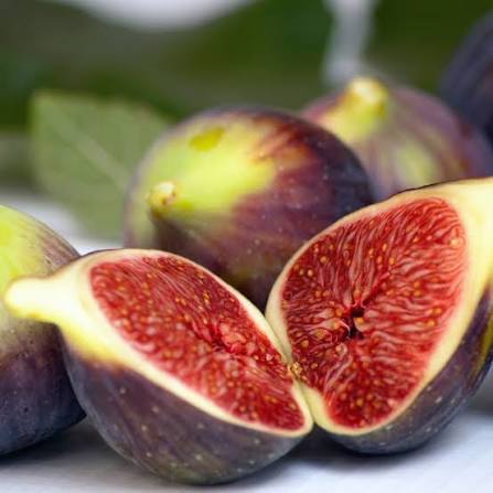 Fig (Ficus) Brown Turkey 3L