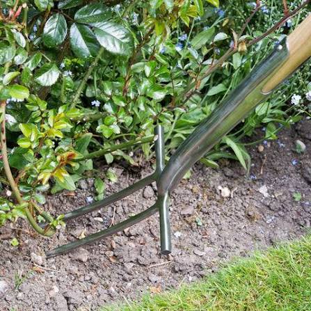 Burgon & Ball Rose & Root Fork steel narrow prongs with wooden handle gardening fork at Pengelly Garden Centre Cornwall