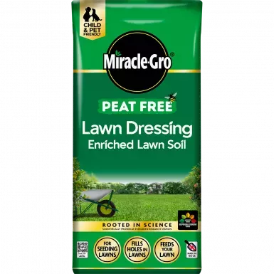 Well-kept green garden lawn with healthy turf and lush grass for lawn care, mowing and outdoor landscaping