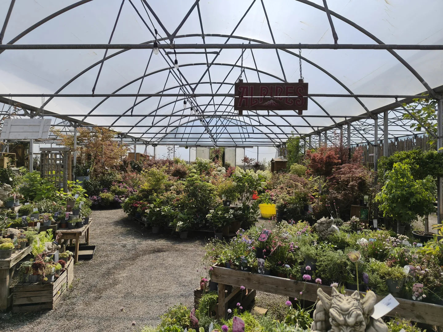 Alpine greenhouse filled with shrubs and flowering plants at Pengelly Garden Centre in Cornwall