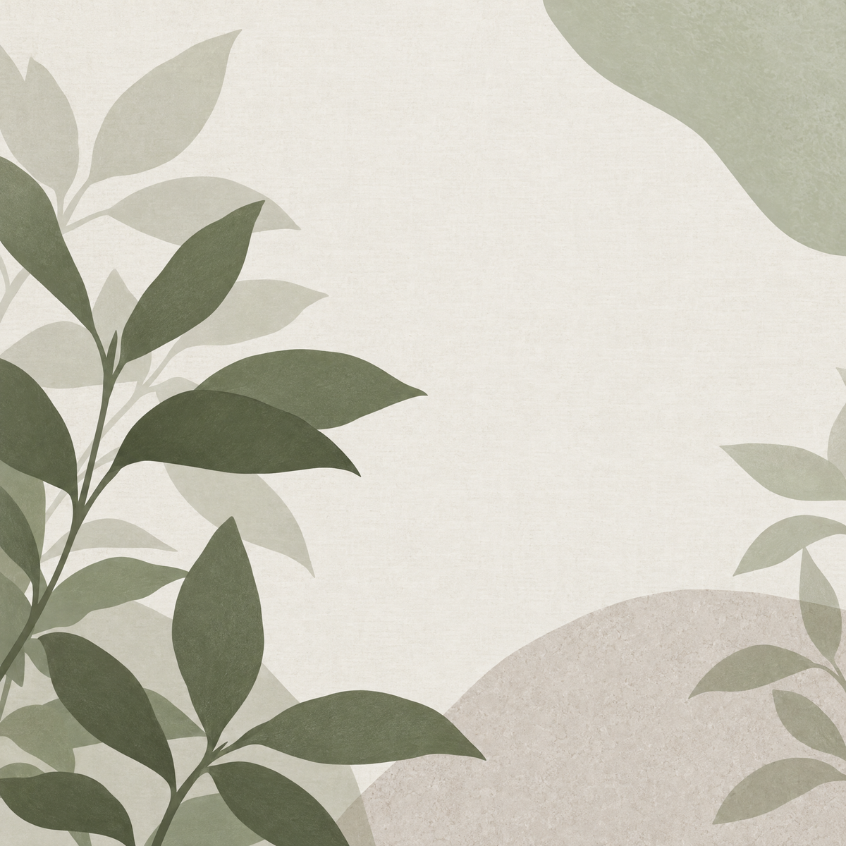 Product image coming soon – Rhododendron ponticum 'Variegatum' 30cm Pot. Placeholder only; not a representation of the product.