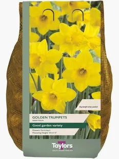 Narcissus 'Golden Trumpets' 2Kg
