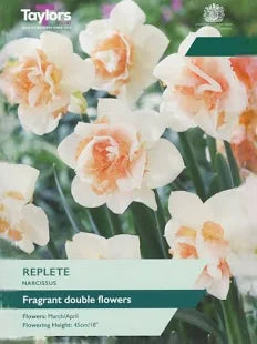 Narcissus 'Replete' 5 bulbs