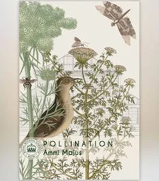 Thompson & Morgan Kew 'Ammi Majus Bishop's Weed' seeds