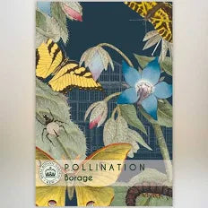 Thompson & Morgan Kew 'Borage' seeds