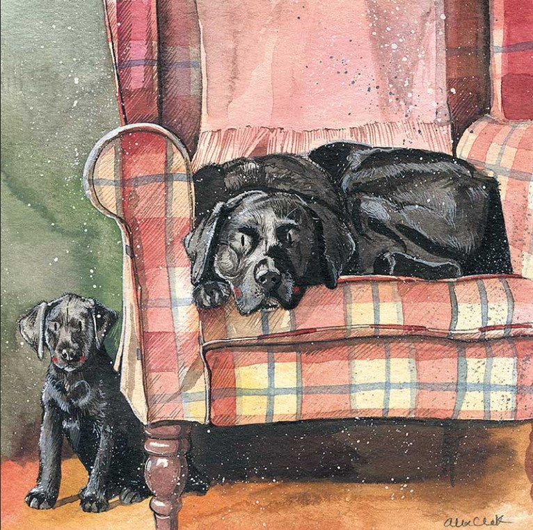 Sophie & Scarlet Card