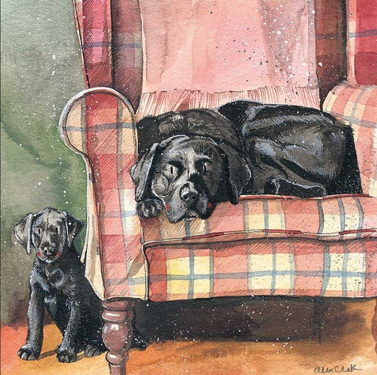 Sophie & Scarlet Card