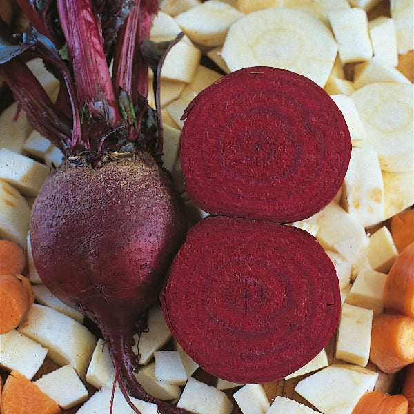 Beetroot Detroit plants with round deep red roots and green leafy tops