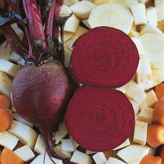 Beetroot Detroit plants with round deep red roots and green leafy tops