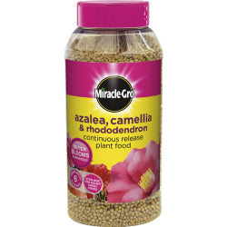 MGS Slow Release Ericaceous Plant Food 250g tub, granular feed for rhododendron, azalea and camellia