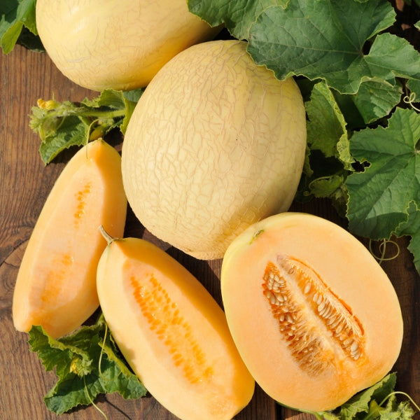 Emir melon whole and halved showing orange flesh and seeds on rustic wooden surface