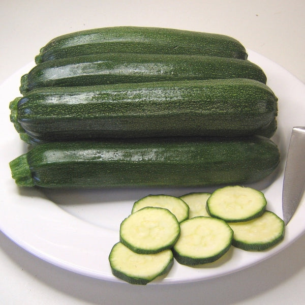 Courgette Defender plant with multiple dark green fruits and large lobed leaves in a vegetable garden bed