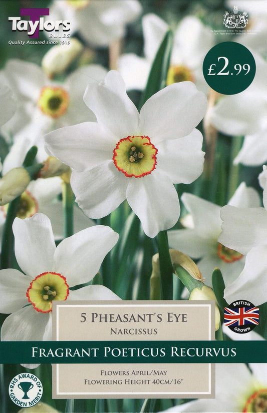 Eye icon used as quick view button on Pengelly Garden Centre product listing