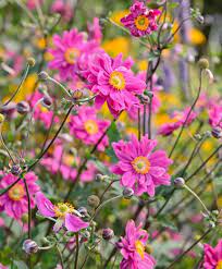 Warm solar LED garden path lights glowing along a gravel border at dusk