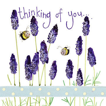 Lavender (Lavandula) bush with dense purple flower spikes and grey-green foliage, fragrant and ideal for borders and pots