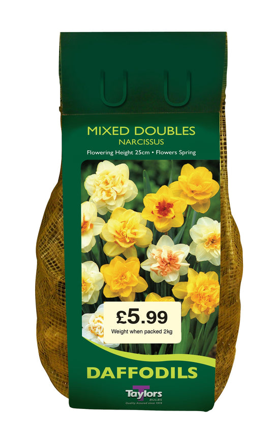 tray of mixed double-flowered bedding plants with colourful blooms for spring borders