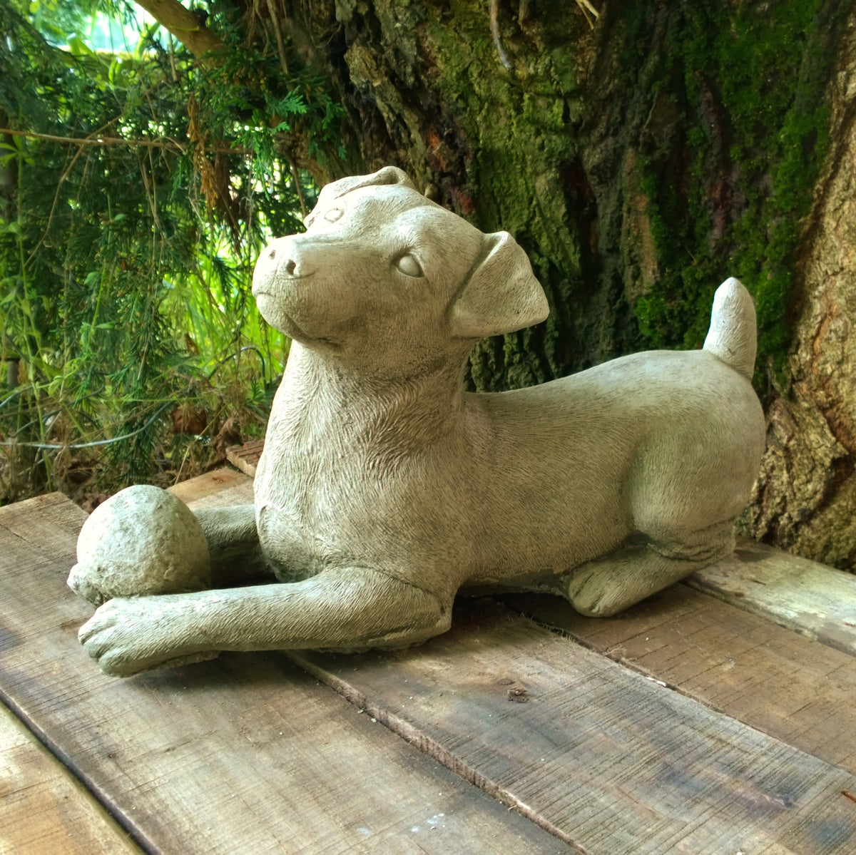 small brown and white terrier sitting on paving beside potted plants at Pengelly Garden Centre